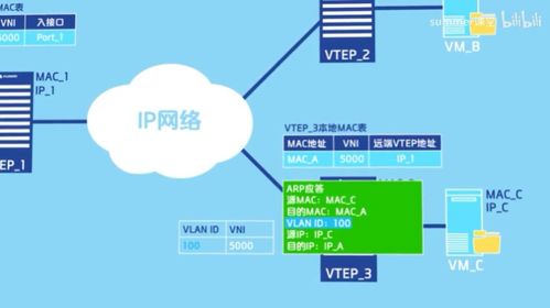 VXLAN通信原理及其在網(wǎng)絡與信息安全軟件開發(fā)中的應用